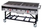 Portable Gas Grill