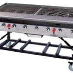 Portable Gas Grill