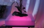 Light Up End Table, Pink